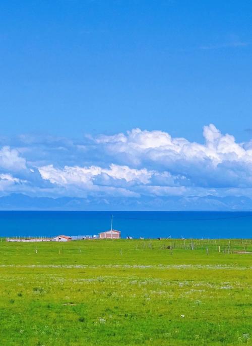 Arrest warrant for Shi Yongxin approved by prosecutors